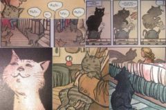 Bd Chats noirs Chiens blancs