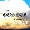 The Gospel according to Budgie I